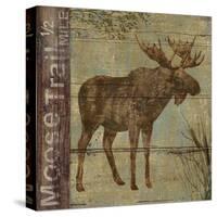 Northern Wildlife II-Daphné B.-Stretched Canvas