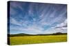 Northern Wisconsin Field-Steve Gadomski-Stretched Canvas