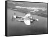 Northrop P-61 Black Widow-null-Framed Stretched Canvas