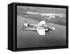 Northrop P-61 Black Widow-null-Framed Stretched Canvas