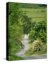 Northumberland, Harbottle, Horseriding Along a Country Lane, England-Paul Harris-Stretched Canvas