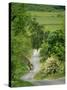 Northumberland, Harbottle, Horseriding Along a Country Lane, England-Paul Harris-Stretched Canvas