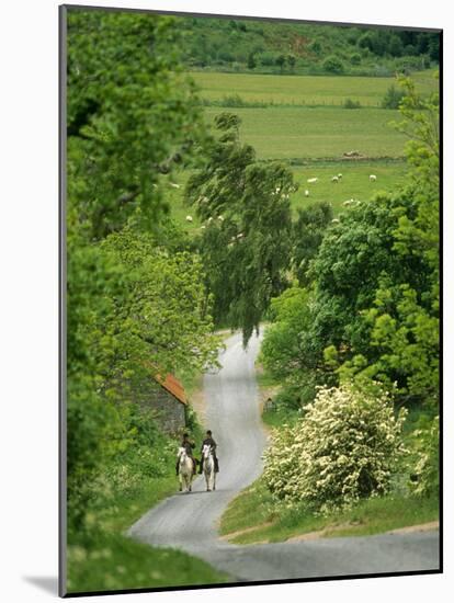 Northumberland, Harbottle, Horseriding Along a Country Lane, England-Paul Harris-Mounted Photographic Print