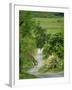 Northumberland, Harbottle, Horseriding Along a Country Lane, England-Paul Harris-Framed Photographic Print