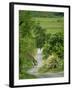 Northumberland, Harbottle, Horseriding Along a Country Lane, England-Paul Harris-Framed Photographic Print