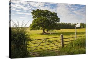 Northumberland National Park, Near Haydon, Northumberland, England, United Kingdom, Europe-Matthew-Stretched Canvas