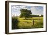 Northumberland National Park, Near Haydon, Northumberland, England, United Kingdom, Europe-Matthew-Framed Photographic Print