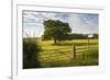 Northumberland National Park, Near Haydon, Northumberland, England, United Kingdom, Europe-Matthew-Framed Photographic Print