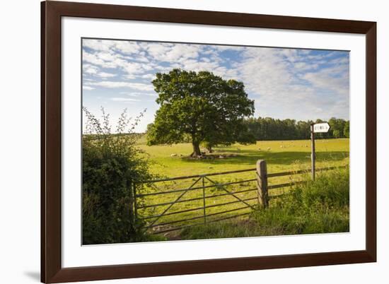 Northumberland National Park, Near Haydon, Northumberland, England, United Kingdom, Europe-Matthew-Framed Photographic Print