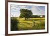 Northumberland National Park, Near Haydon, Northumberland, England, United Kingdom, Europe-Matthew-Framed Photographic Print