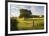 Northumberland National Park, Near Haydon, Northumberland, England, United Kingdom, Europe-Matthew-Framed Photographic Print
