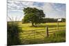 Northumberland National Park, Near Haydon, Northumberland, England, United Kingdom, Europe-Matthew-Mounted Photographic Print