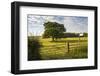 Northumberland National Park, Near Haydon, Northumberland, England, United Kingdom, Europe-Matthew-Framed Photographic Print