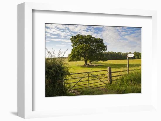 Northumberland National Park, Near Haydon, Northumberland, England, United Kingdom, Europe-Matthew-Framed Photographic Print