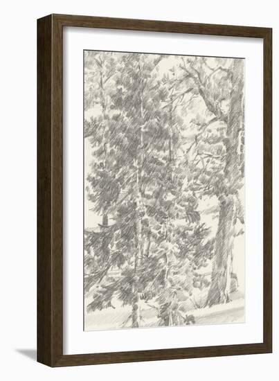 Northwestern Tree Study II-Ethan Harper-Framed Art Print