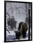 Norton Yellowstone-Laura Rauch-Framed Photographic Print