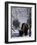 Norton Yellowstone-Laura Rauch-Framed Photographic Print