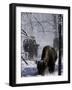 Norton Yellowstone-Laura Rauch-Framed Photographic Print