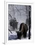 Norton Yellowstone-Laura Rauch-Framed Photographic Print