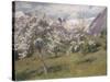 Norvège, verger en fleur (Harland) .1898-Johannes Martin Grimelund-Stretched Canvas