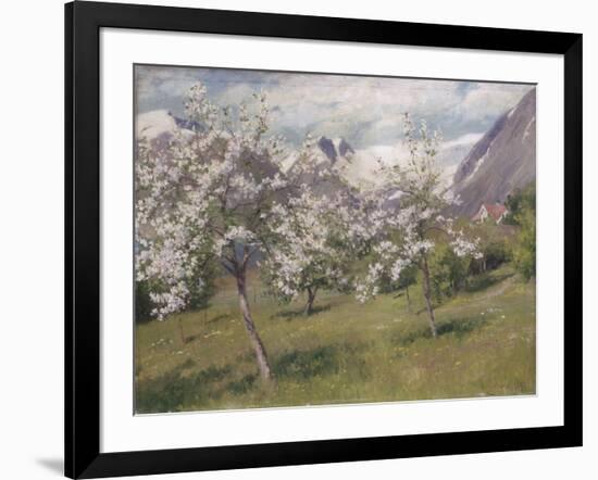 Norvège, verger en fleur (Harland) .1898-Johannes Martin Grimelund-Framed Giclee Print