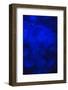 Norwalk, Connecticut, USA. Jellyfish in blue enclosure.-Karen Ann Sullivan-Framed Photographic Print