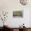 Norwalk, Ohio - Panoramic Map-Lantern Press-Stretched Canvas displayed on a wall