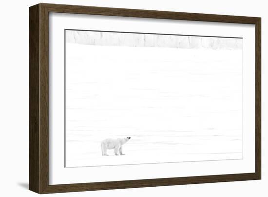 Norway, Arctic Ocean, Svalbard. Polar Bear on Ice Shelf-Bill Young-Framed Photographic Print