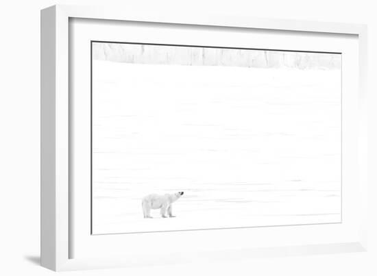 Norway, Arctic Ocean, Svalbard. Polar Bear on Ice Shelf-Bill Young-Framed Photographic Print