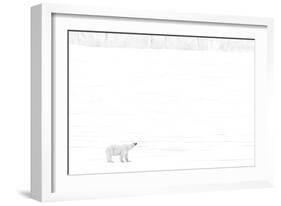 Norway, Arctic Ocean, Svalbard. Polar Bear on Ice Shelf-Bill Young-Framed Photographic Print