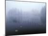 Norway, Aust-Agder, Mavatn Lake, Fog Mood at a Forest Lake-Andreas Keil-Mounted Premium Photographic Print