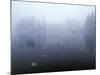 Norway, Aust-Agder, Mavatn Lake, Fog Mood at a Forest Lake-Andreas Keil-Mounted Photographic Print