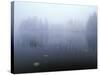 Norway, Aust-Agder, Mavatn Lake, Fog Mood at a Forest Lake-Andreas Keil-Stretched Canvas