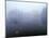 Norway, Aust-Agder, Mavatn Lake, Fog Mood at a Forest Lake-Andreas Keil-Mounted Photographic Print