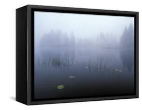 Norway, Aust-Agder, Mavatn Lake, Fog Mood at a Forest Lake-Andreas Keil-Framed Stretched Canvas