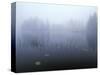 Norway, Aust-Agder, Mavatn Lake, Fog Mood at a Forest Lake-Andreas Keil-Stretched Canvas