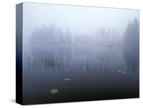 Norway, Aust-Agder, Mavatn Lake, Fog Mood at a Forest Lake-Andreas Keil-Stretched Canvas