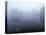 Norway, Aust-Agder, Mavatn Lake, Fog Mood at a Forest Lake-Andreas Keil-Stretched Canvas