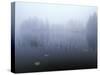 Norway, Aust-Agder, Mavatn Lake, Fog Mood at a Forest Lake-Andreas Keil-Stretched Canvas