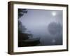 Norway, Aust-Agder, Mavatn Lake, Nebulous Mood by a Forest Lake-Andreas Keil-Framed Photographic Print