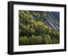 Norway, Aust-Agder, Setesdal, Autumn Forest at the Abrated Granite Slopes of the Setesdal Valley-Andreas Keil-Framed Photographic Print