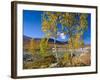 Norway, Autumn Fjellbirken at Mountain Lake in Grotli-K. Schlierbach-Framed Photographic Print