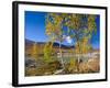 Norway, Autumn Fjellbirken at Mountain Lake in Grotli-K. Schlierbach-Framed Photographic Print