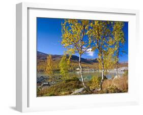 Norway, Autumn Fjellbirken at Mountain Lake in Grotli-K. Schlierbach-Framed Photographic Print