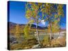 Norway, Autumn Fjellbirken at Mountain Lake in Grotli-K. Schlierbach-Stretched Canvas