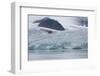 Norway, Barents Sea, Svalbard, Spitsbergen, Lilliehook Glacier-Cindy Miller Hopkins-Framed Photographic Print