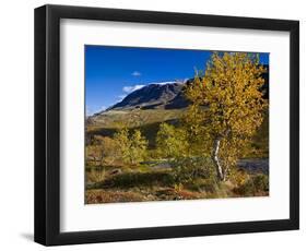 Norway, Boverkinnhalsen, Jotunheimen National Park, Autumn Fjellbirken Against Snowy Mountain Peaks-K. Schlierbach-Framed Photographic Print