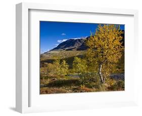 Norway, Boverkinnhalsen, Jotunheimen National Park, Autumn Fjellbirken Against Snowy Mountain Peaks-K. Schlierbach-Framed Photographic Print