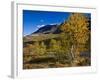 Norway, Boverkinnhalsen, Jotunheimen National Park, Autumn Fjellbirken Against Snowy Mountain Peaks-K. Schlierbach-Framed Photographic Print