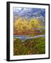 Norway, Boverkinnhalsen, Jotunheimen National Park, Autumn Fjellbirken Against Snowy Mountains-K. Schlierbach-Framed Photographic Print